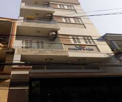 cho thue nha quan binh thanh hxh duong le quang dinh 5 16 3 lau