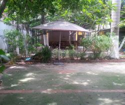 cho thue nha quan 2 duong xuan thuy dien tich 18x28m  gia  55 trieu