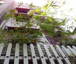 ban nha trong hem duong huynh van banh p13 pn  4x10m 4 lau nha dep gia 5 4 ty