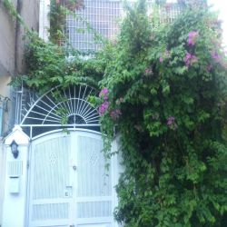 cho thue nha  duong nguyen cuu van phuong 17 quan binh thanh  gia 25tr