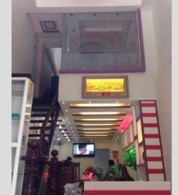 cho thue nha duong noi bo tran nao quan 2