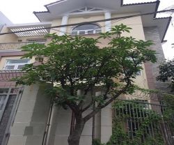 cho thue biet thu quan phu nhuan duong hoa mai dien tich 10x14m 1 ham 3 lau gia  70tr thang