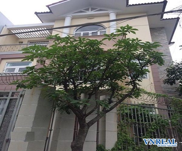 biet thu cho thue quan phu nhuan duong hoa mai dien tich 10x14m 1 ham 3 lau gia  60tr