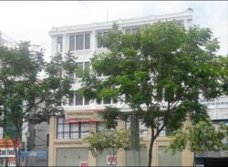 cho thue nha mat tien duong truong son quan tan binh dien tich 130m2 1 san  1 ham 1 tret 4 lau gia 11 000 usd