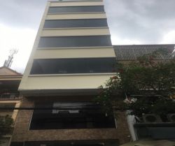 cho thue nha duong nguyen minh hoang 5 x 20 m  1 tret 6 lau 100 trieu thang 