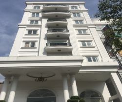 cho thue nha phan dinh giot15 x 25 m1 ham1 tret 6 lau 29000 usd