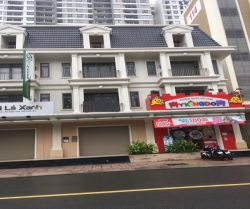 cho thue nha mt duong pho quang 6x17m 1 tret 3 lau  100 trieu thang