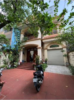 cho thue mat bang biet thu duong dien bien phu dien tich 9x27m 1 lau san rong gia 70tr th