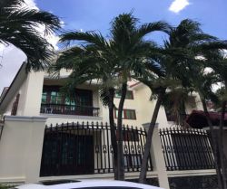 cho thue biet thu duong tran nao dt 17x20 tret lau ap mai gia 55 tr thang