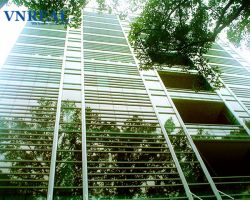 van phong cho thue quan 3 toa nha bao sai gon giai phong