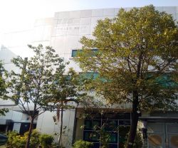 cho thue nha quan binh thanh mat tien duong truong sa dien tich 20x10m 1 triet 3 lau gia 60 trieu