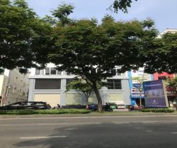 cho thue nha truong son 18x85m 1 ham 5 lau 12000  thang