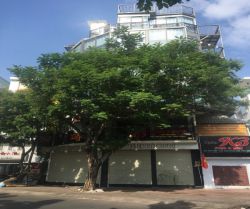 cho thue nha truong sa phuong 17 quan phu nhuan tphcm 