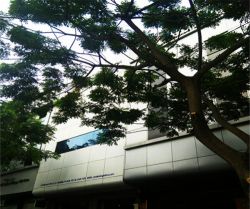 ban nha mt duong truong son p  2 q  tan binh dt 7x23m 1 tret 2 lau