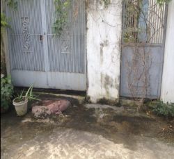 cho thue dat hxh bui dinh tuy quan binh thanh dt 300m2 gia 25tr