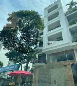 cho thue mat bang duong pho quang dien tich 46x16m 4 lau gia 90tr th