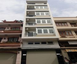 cho thue nha mat tien duong d1 binh thanh