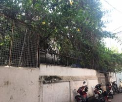 cho thue nha hem duong tran dinh xu phuong nguyen cu trinh quan 1 75 trieu