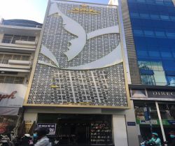 cho thue nha mat tien duong nguyen dinh chieu phuong 3 quan 3 220 trieu