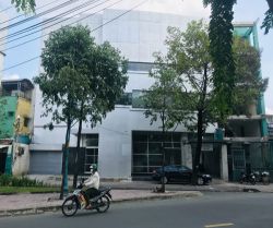 cho thue mat bang mat tien truong sa 16x11m 4 tang gia 80 trieu