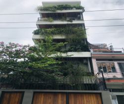 cho thue mat bang quan binh thanh mat tien duong vo duy ninh 55x25m tret   4 lau st  gia  70 trieu