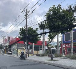 cho thue mat bang duong quang trung p 11 go vap dt 2200m2 22000  thang