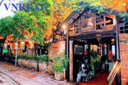 cho thue nha duong le quy don quan 3 dien tich 23 x 30m