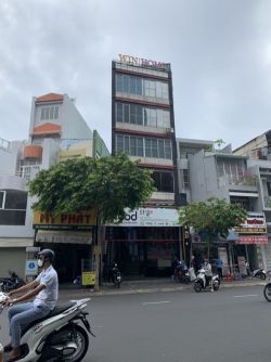 cho thue nha quan 1 mat tien duong dinh tien hoang p  da kao quan 1 100 trieu