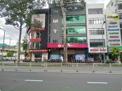 cho thue nha duong tran hung dao p  cau ong lanh quan 1 4 lau 320 trieu