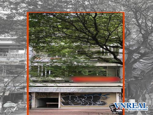 cho thue mat tien nguyen trung truc q1 5x9 4 lau 120 trieu