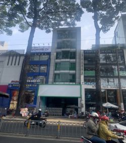 cho thue nha quan 1 mat tien duong nguyen thi minh khai p  nguyen cu trinh quan 1 12000 