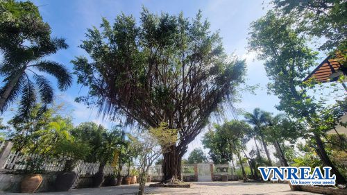 Bán biệt thự vườn Lò Lu Quận 9, DT 40 x 110m, Giá bán 18x tỷ